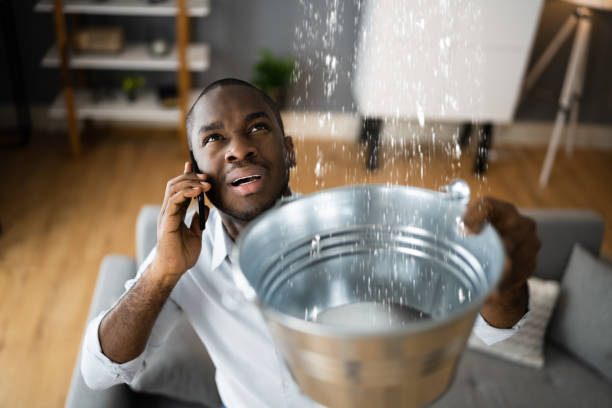 Best Flood restoration services  in Beulah, ND