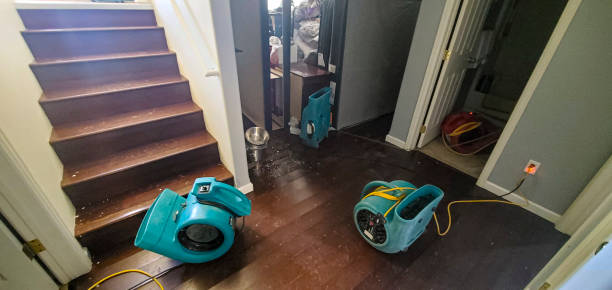 Best Emergency water damage restoration  in Beulah, ND