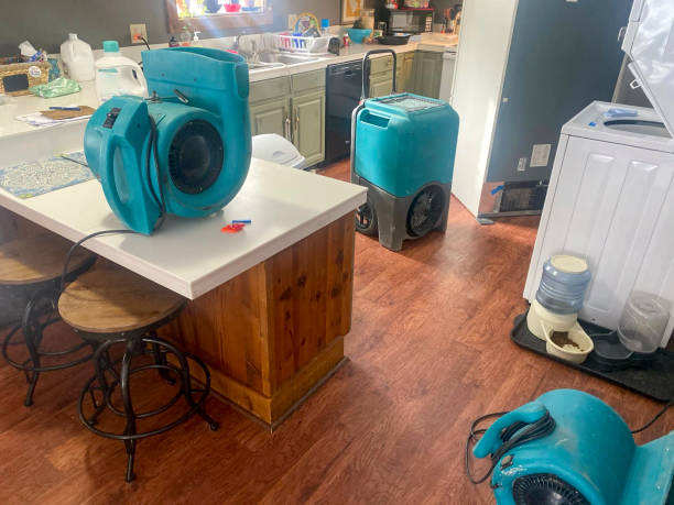 Best Water damage restoration near me  in Beulah, ND