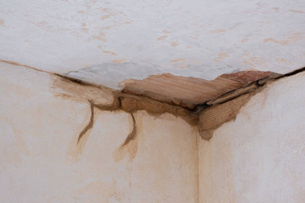 Beulah, ND Water damage restoration Pros