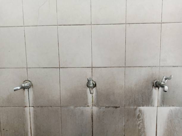 Best Basement water damage restoration  in Beulah, ND
